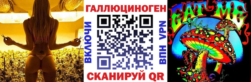 Псилоцибиновые грибы Psilocybe  Гагарин 