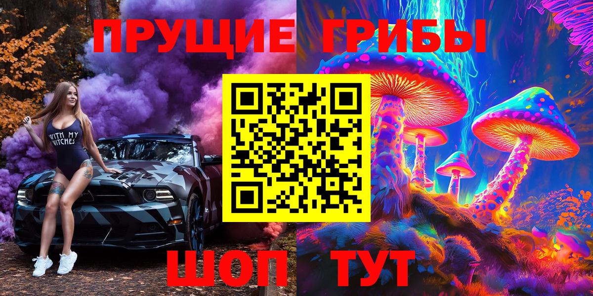 купить   Псилоцибиновые грибы прущие грибы  Гагарин  Псилоцибиновые грибы Psilocybine cubensis 