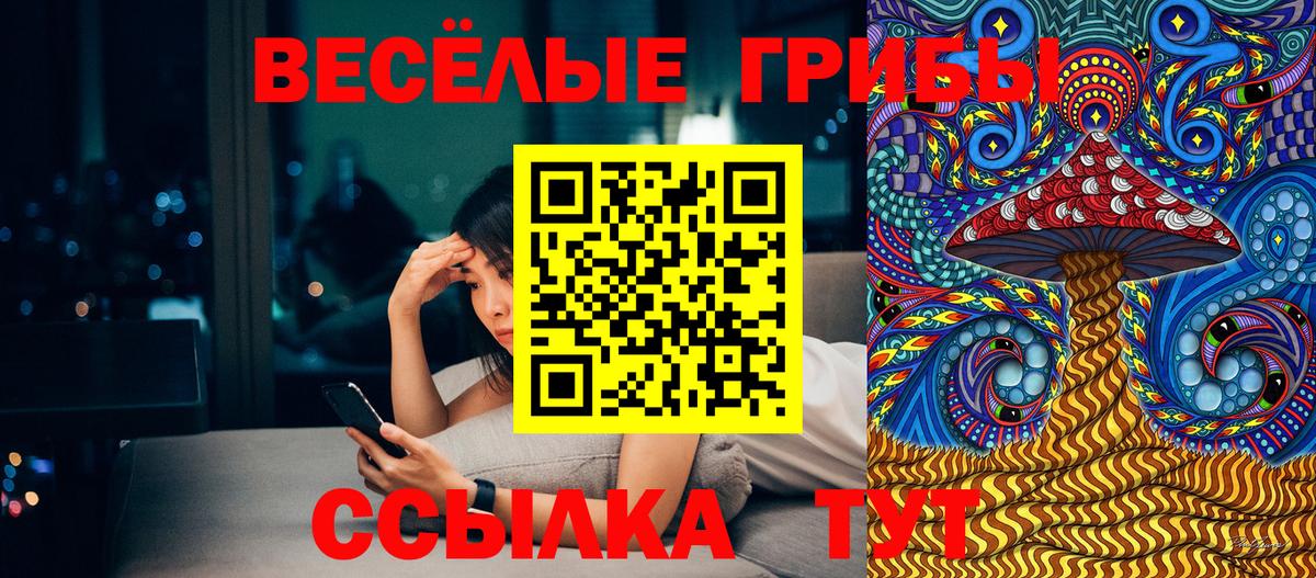 Псилоцибиновые грибы Psilocybine cubensis  Вход с VPN  Гагарин 