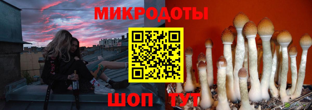 МЕФ Гагарин