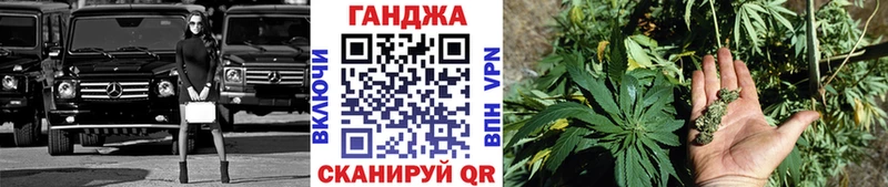 купить наркоту  mega ONION  Бошки марихуана конопля  Гагарин 